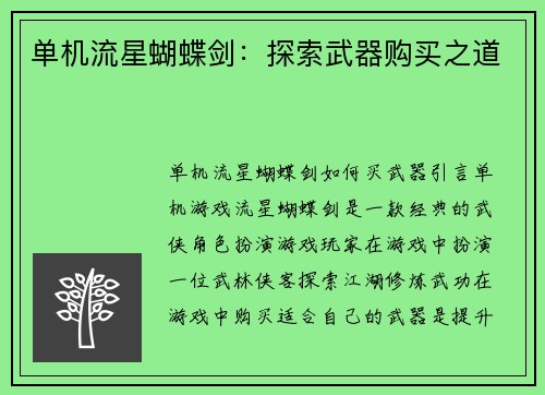 单机流星蝴蝶剑：探索武器购买之道